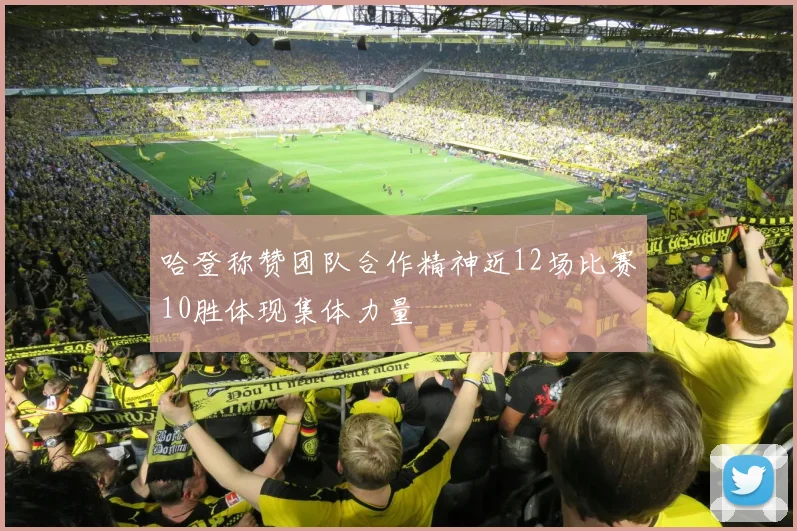 哈登称赞团队合作精神近12场比赛10胜体现集体力量
